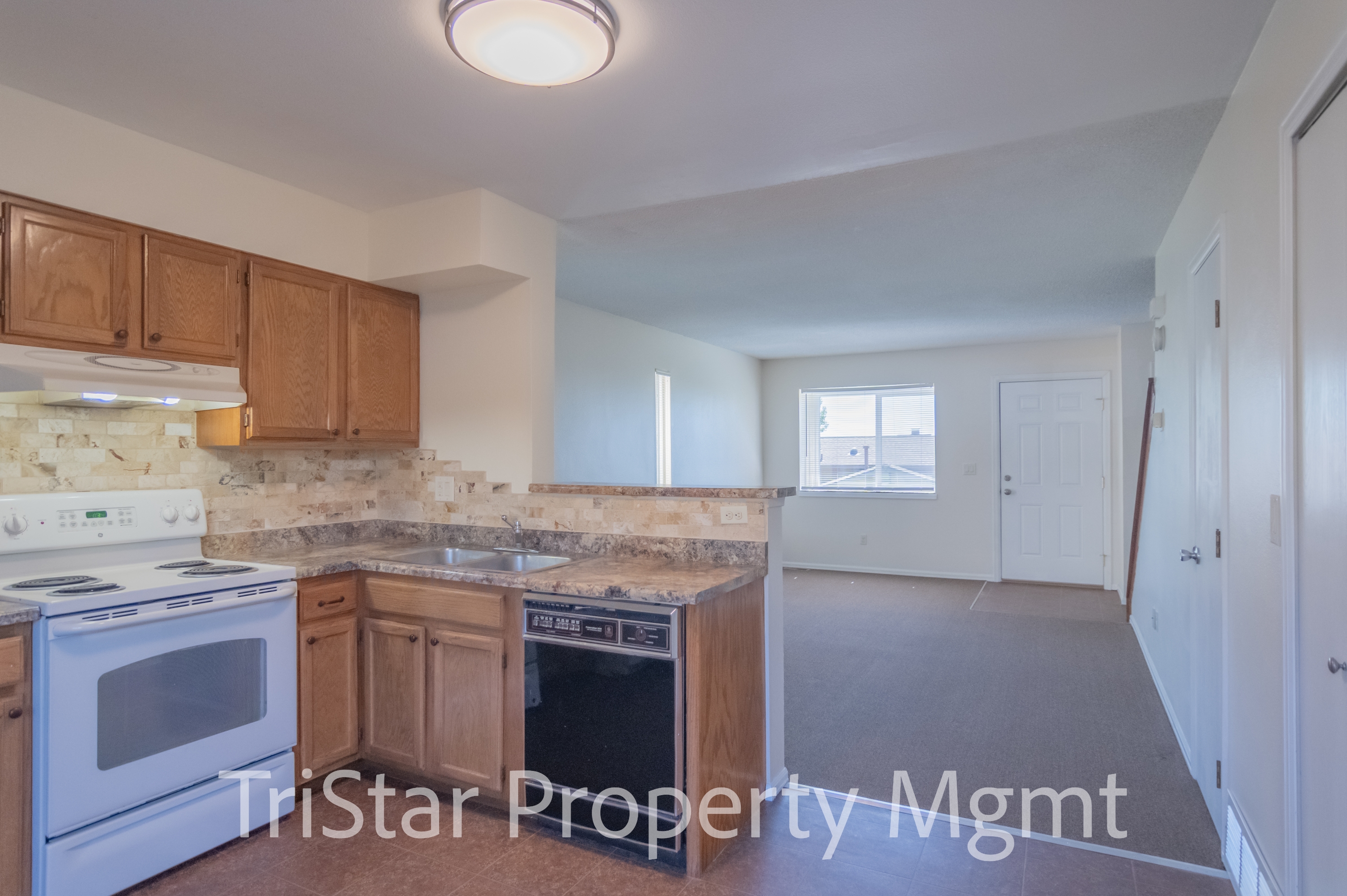 3266 Vail Pass Drive - 1