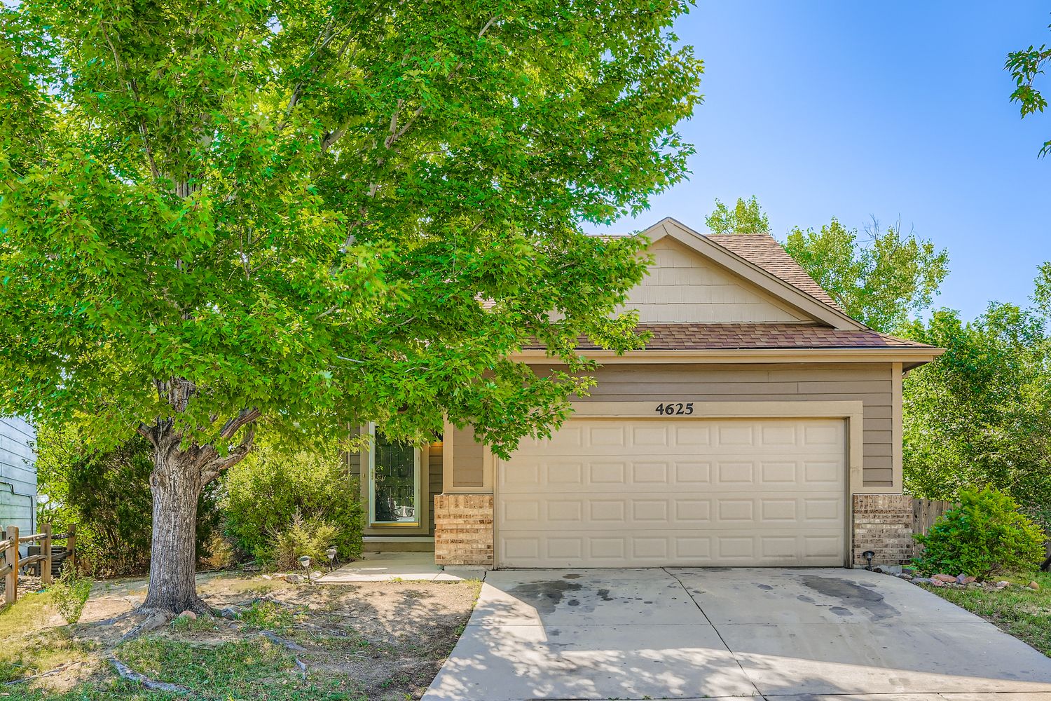 4625 Double Lasso Court - 1